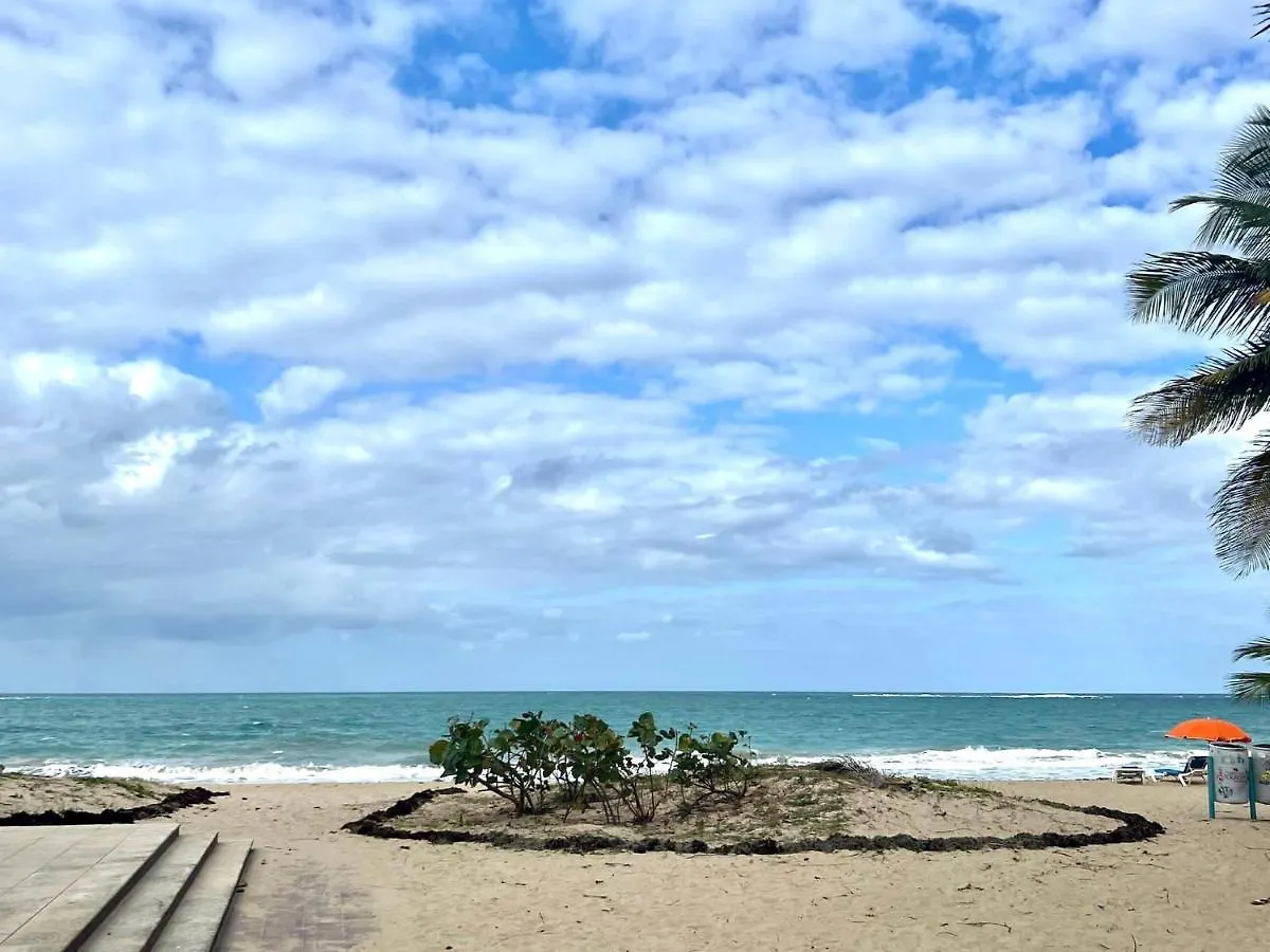 Stunning 3-Br Apt In Condado San Juan