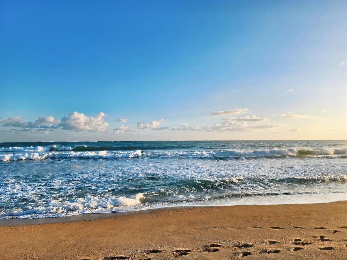 Stunning 3-Br Apt In Condado San Juan Apartment